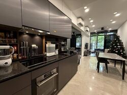 Daintree Residence (D21), Condominium #520255041